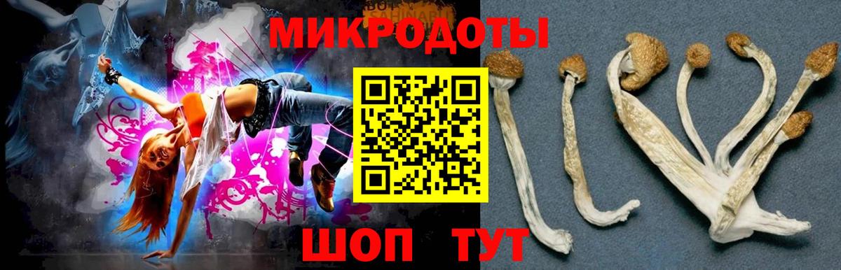 Одинцово  Галлюциногенные грибы Cubensis  Галлюциногенные грибы прущие грибы  Вход с VPN 